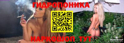 шишки Краснокаменск