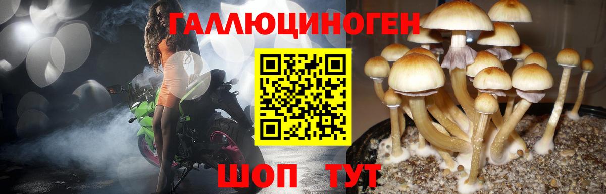 Псилоцибиновые грибы Magic Shrooms Камень-на-Оби