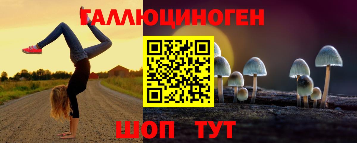 Галлюциногенные грибы прущие грибы  сколько стоит  Камень-на-Оби  Вход с VPN 